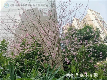 植树节丨 在惠民物业园区，春天的气息久久弥漫