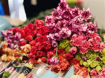 力宝·女神节 | 快进来，接收女神节宠爱惊喜！