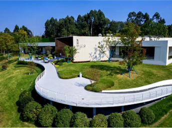 黄龙溪谷联袂四川青城画院，迎春书画展隆重启幕