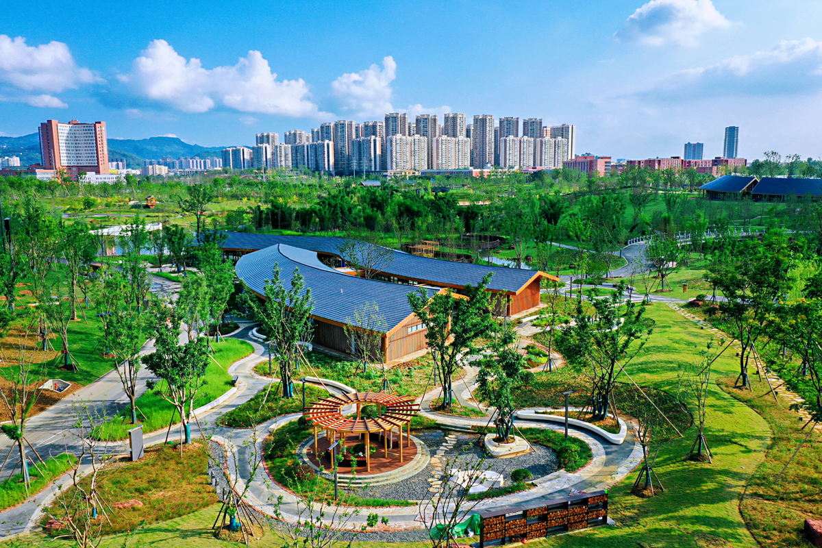 d2176d0410fee6e541c3afae884b587